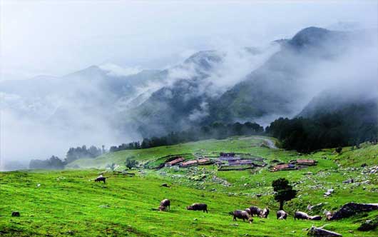 Chopta Attractions chopta-tourist-places